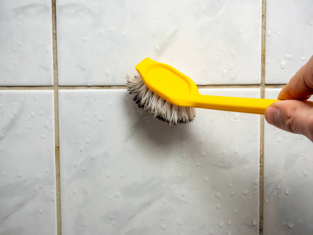 Best Black Mold Removal  in West Point, NY