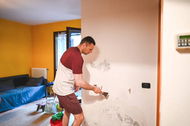 Best Black Mold Removal  in West Point, NY